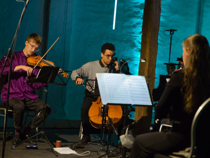 Geige, Cello und Querflöte bei klassischem Konzert.